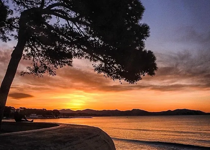 Avec Piscine La Ciotat